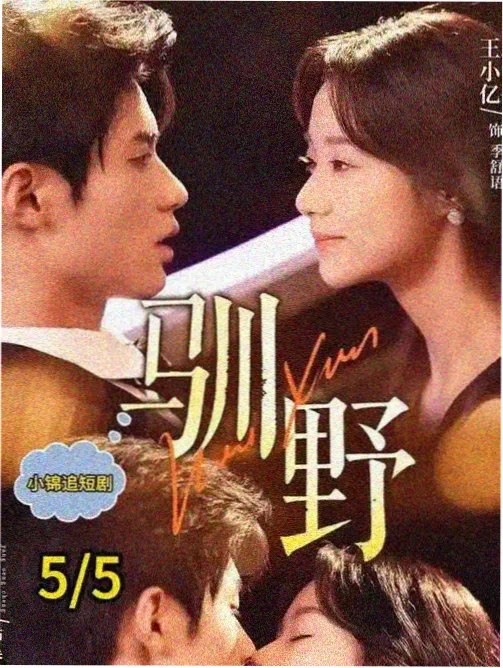 硅基挽歌 人工智能美剧